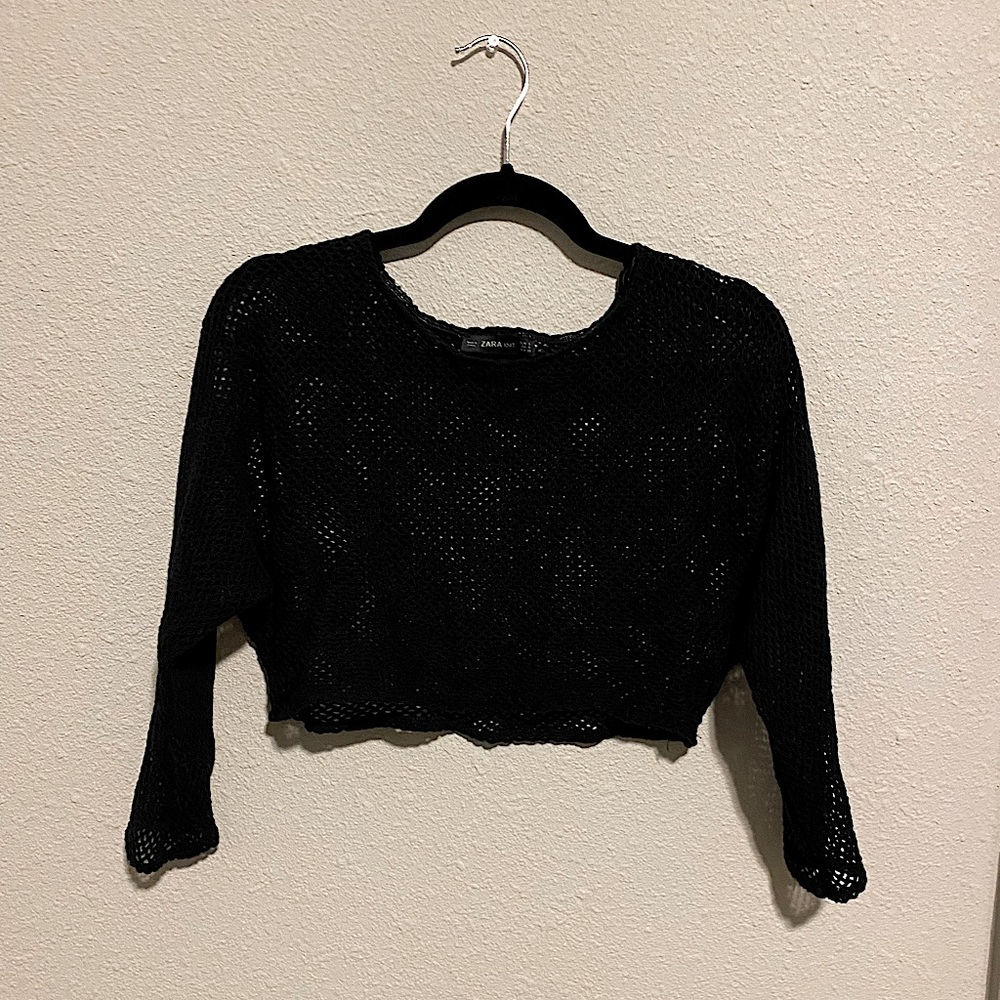 ZARA Mesh Knit Crop Top